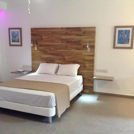 Bougainvillea 3* Polis