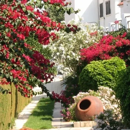 Bougainvillea Aparthotel 3*