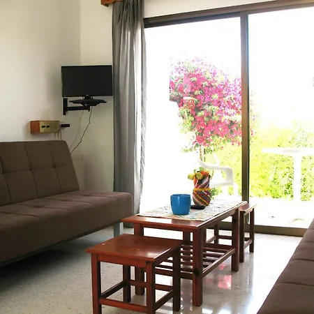 Bougainvillea Polis