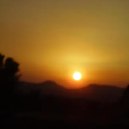 Bougainvillea 3* Polis