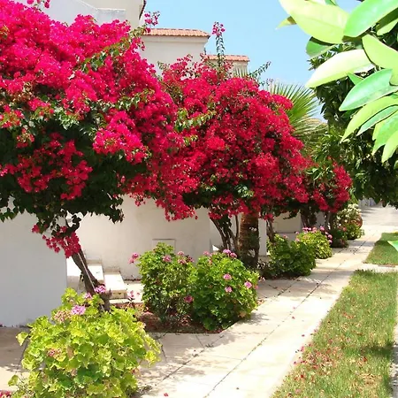 Bougainvillea Aparthotel Polis