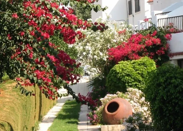 Bougainvillea Aparthotel 3*