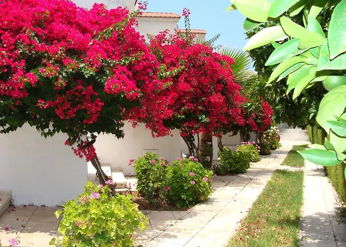 Bougainvillea Aparthotel Polis