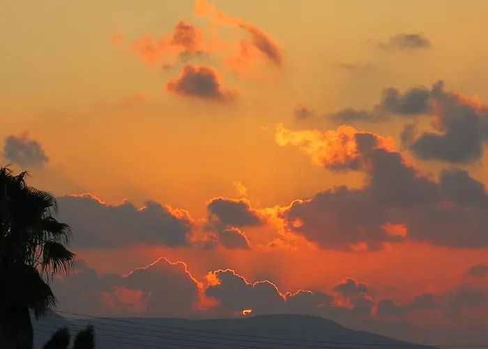 Aparthotel Bougainvillea Polis